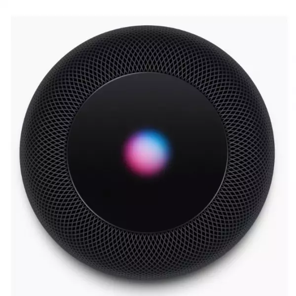 Apple HomePod Space Gray (MQHW2)