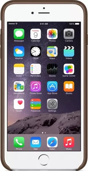Чехол для Apple iPhone 6s Plus Leather Case Olive Brown (MGQR2ZM/A) - 3