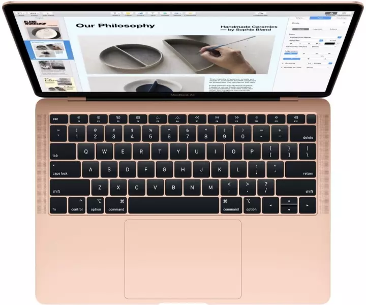 Apple MacBook Air 13 Retina 2019 Gold (MVFM2) - 1
