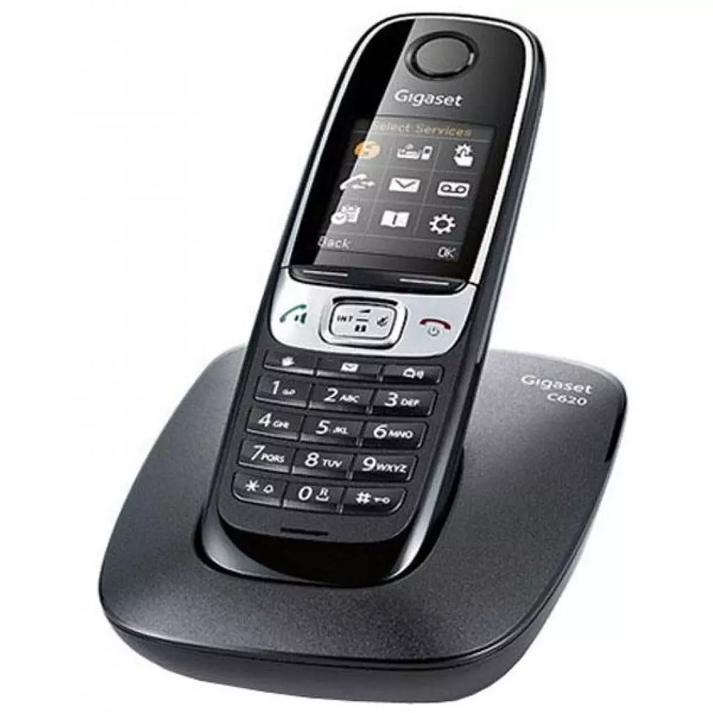 Телефон DECT Gigaset C620 Black (S30852H2403S151) - 2 Телефон DECT Gigaset C620 Black (S30852H2403S151) - 2