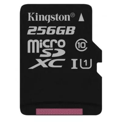 Карта памяти Kingston 256GB microSDXC class 10 UHS-I Canvas Select (SDCS/256GB) - 1