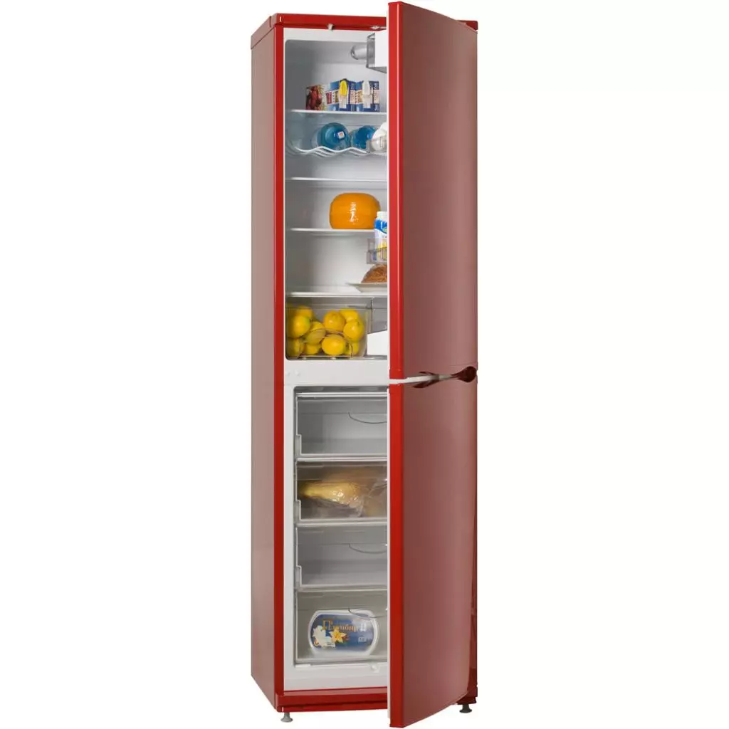 Холодильник ATLANT XM 6025-130 (XM-6025-130) - 1