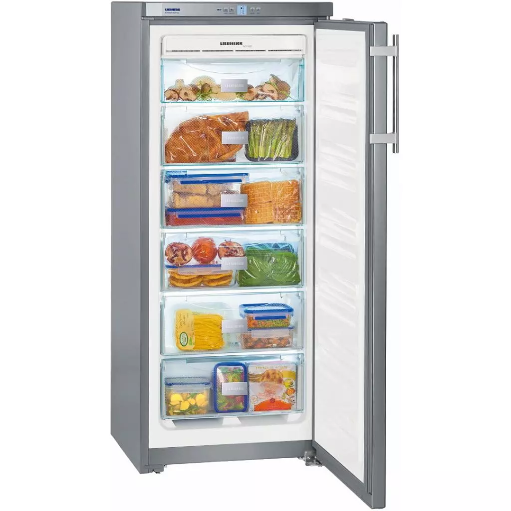 Морозильная камера Liebherr GNSL 2323 - 2