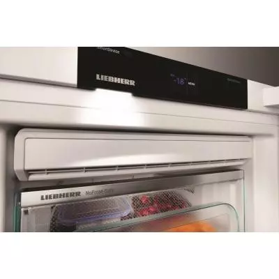 Морозильная камера Liebherr GNP 5255 - 7