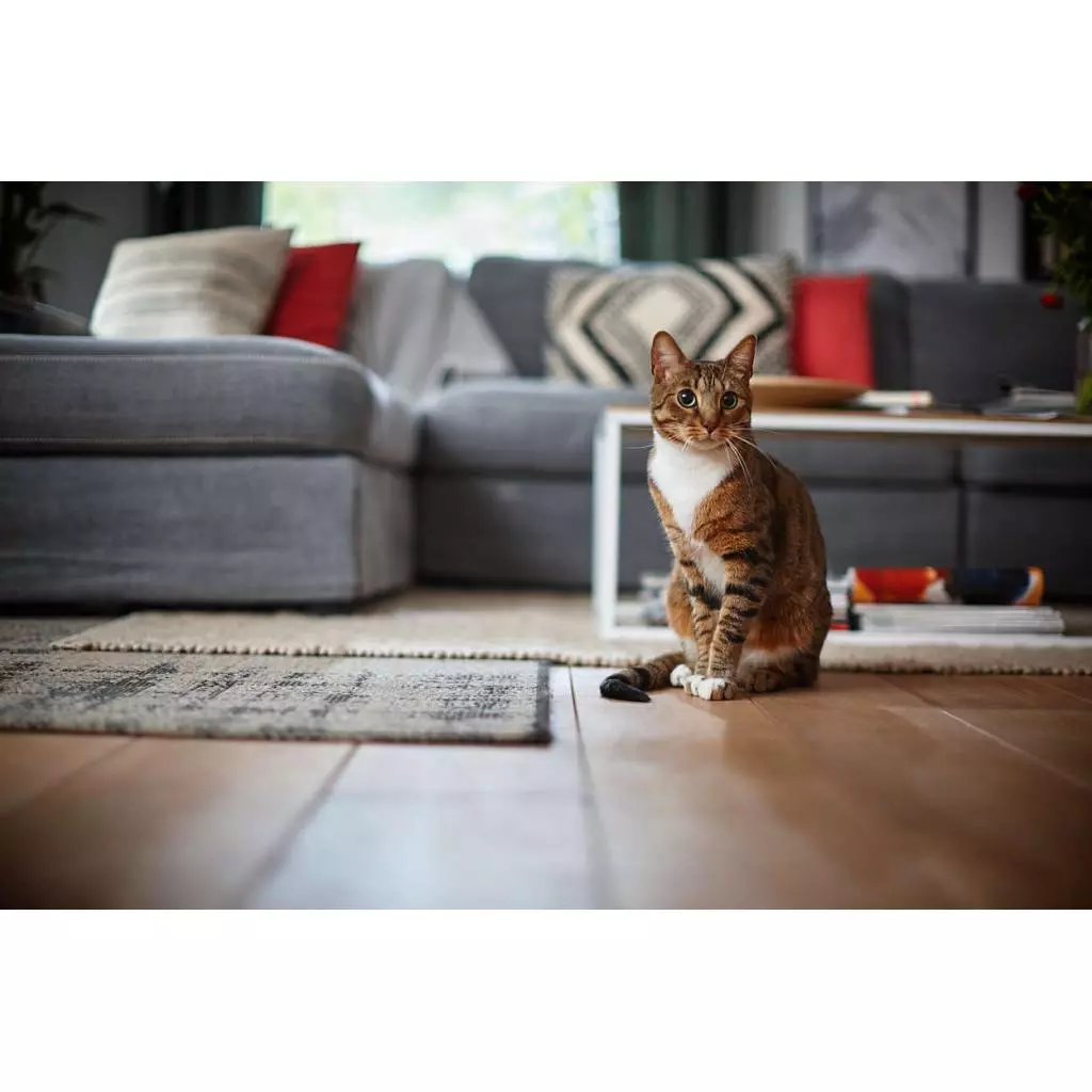 Пылесос Philips FC8822/01 - 5 Пылесос Philips FC8822/01 - 5