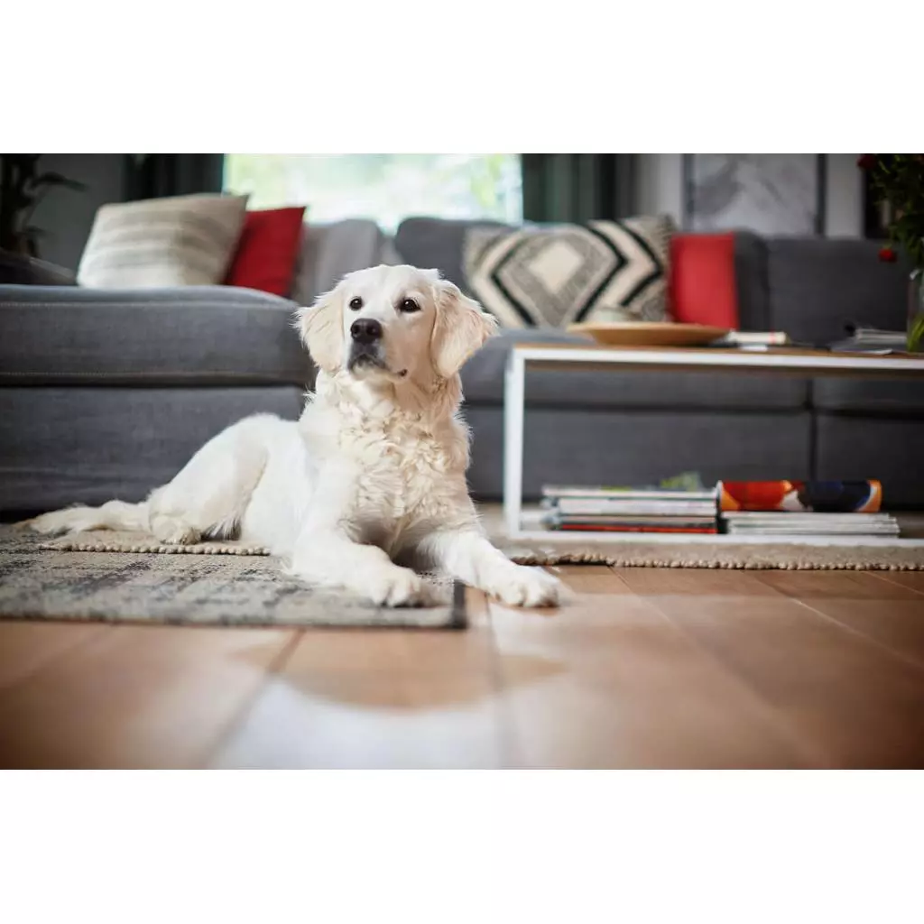 Пылесос Philips FC8822/01 - 6 Пылесос Philips FC8822/01 - 6