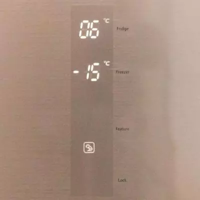 Холодильник Delfa SBS 440G Chicago - 7