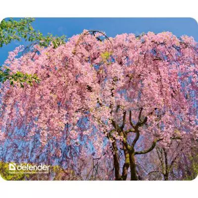 Коврик для мышки Defender Silk Pad Nature (50707) - 2 Коврик для мышки Defender Silk Pad Nature (50707) - 2
