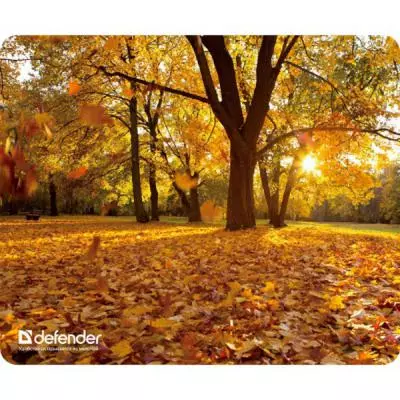 Коврик для мышки Defender Silk Pad Nature (50707) - 6 Коврик для мышки Defender Silk Pad Nature (50707) - 6
