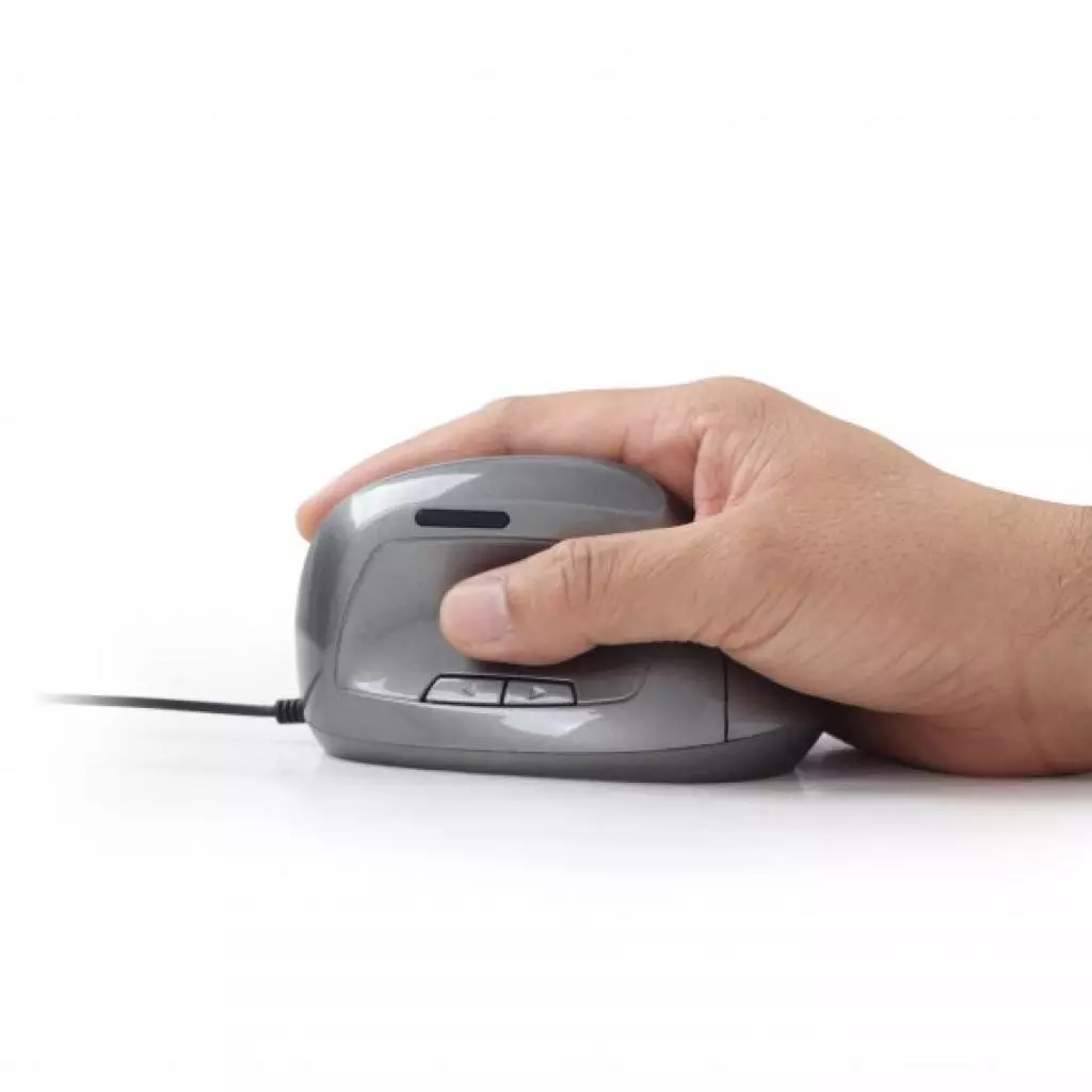 Мышка Gembird MUS-ERGO-02 - 5