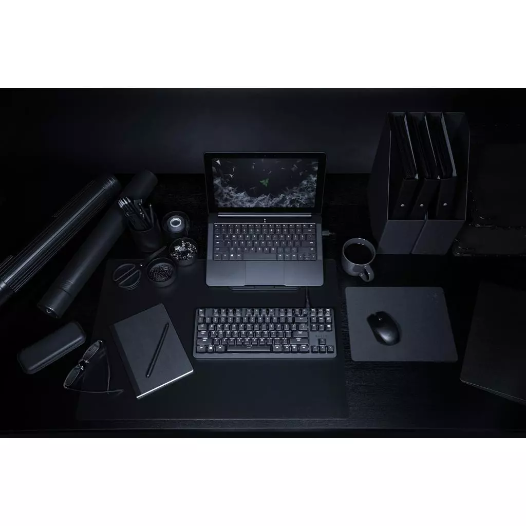Клавиатура Razer BlackWidow Lite RU (RZ03-02640100-R3M1) - 4