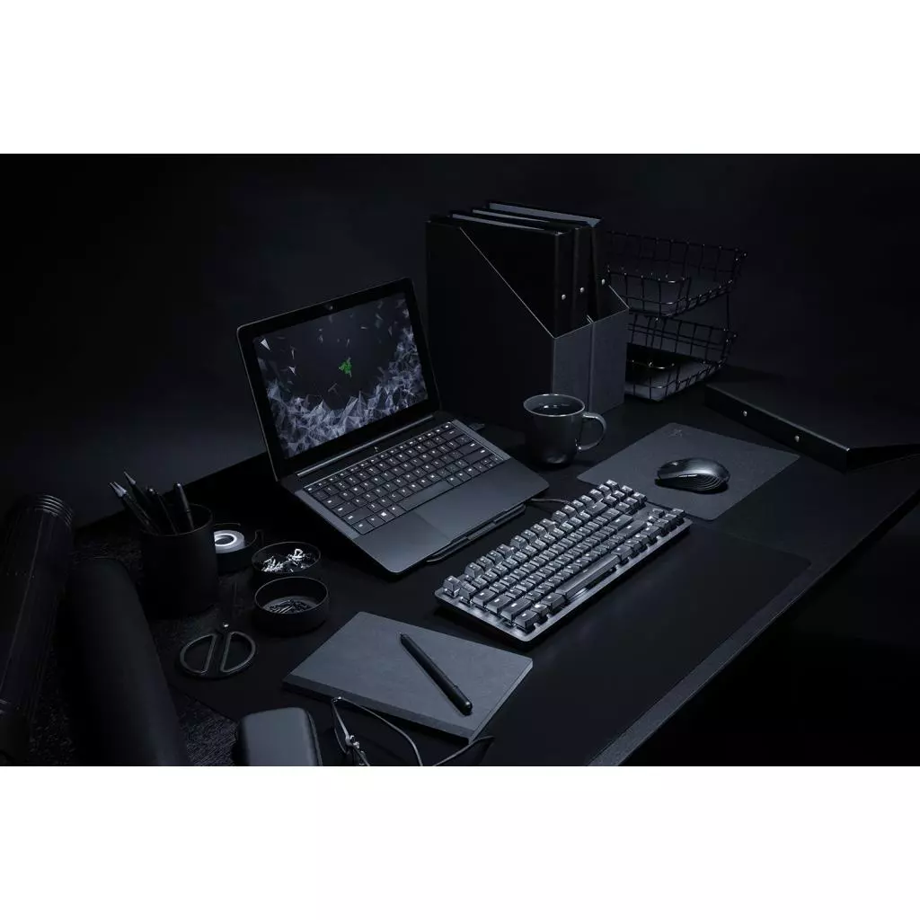 Клавиатура Razer BlackWidow Lite RU (RZ03-02640100-R3M1) - 5