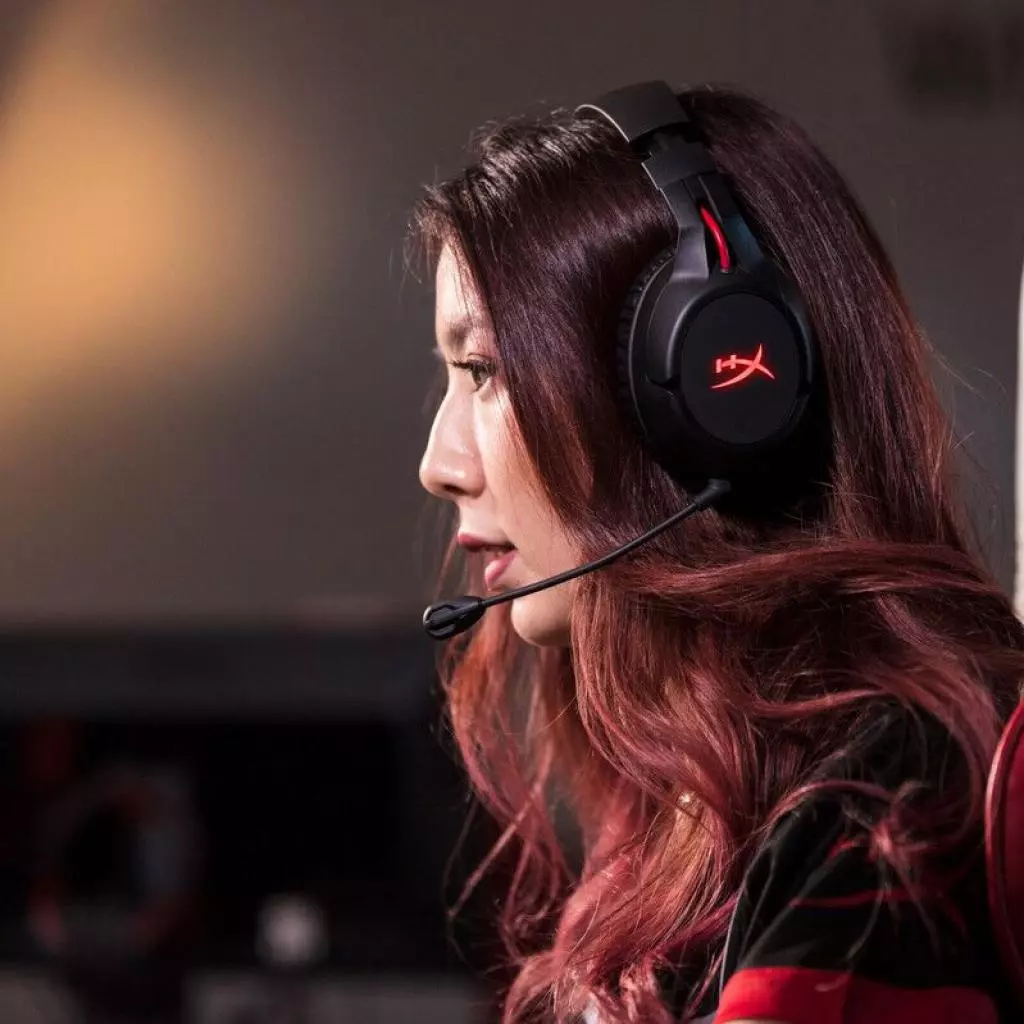 Наушники HyperX Cloud Flight Wireless Gaming Headset for PC/PS4 Black (HX-HSCF-BK/EM) - 10 Наушники HyperX Cloud Flight Wireless Gaming Headset for PC/PS4 Black (HX-HSCF-BK/EM) - 10