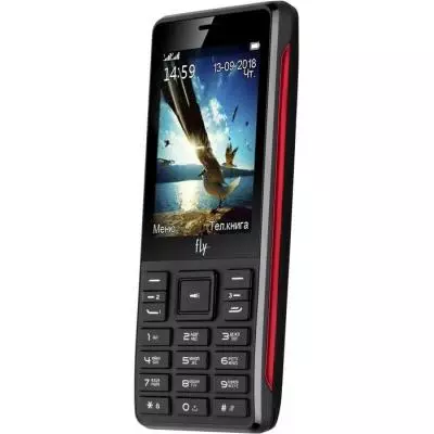 Мобильный телефон Fly TS114 Black - 2