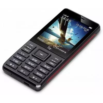 Мобильный телефон Fly TS114 Black - 4