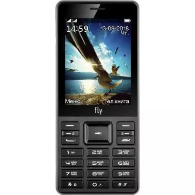 Мобильный телефон Fly TS114 Black