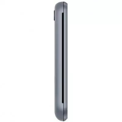 Мобильный телефон Assistant AS-101 Grey (873293012834) - 2