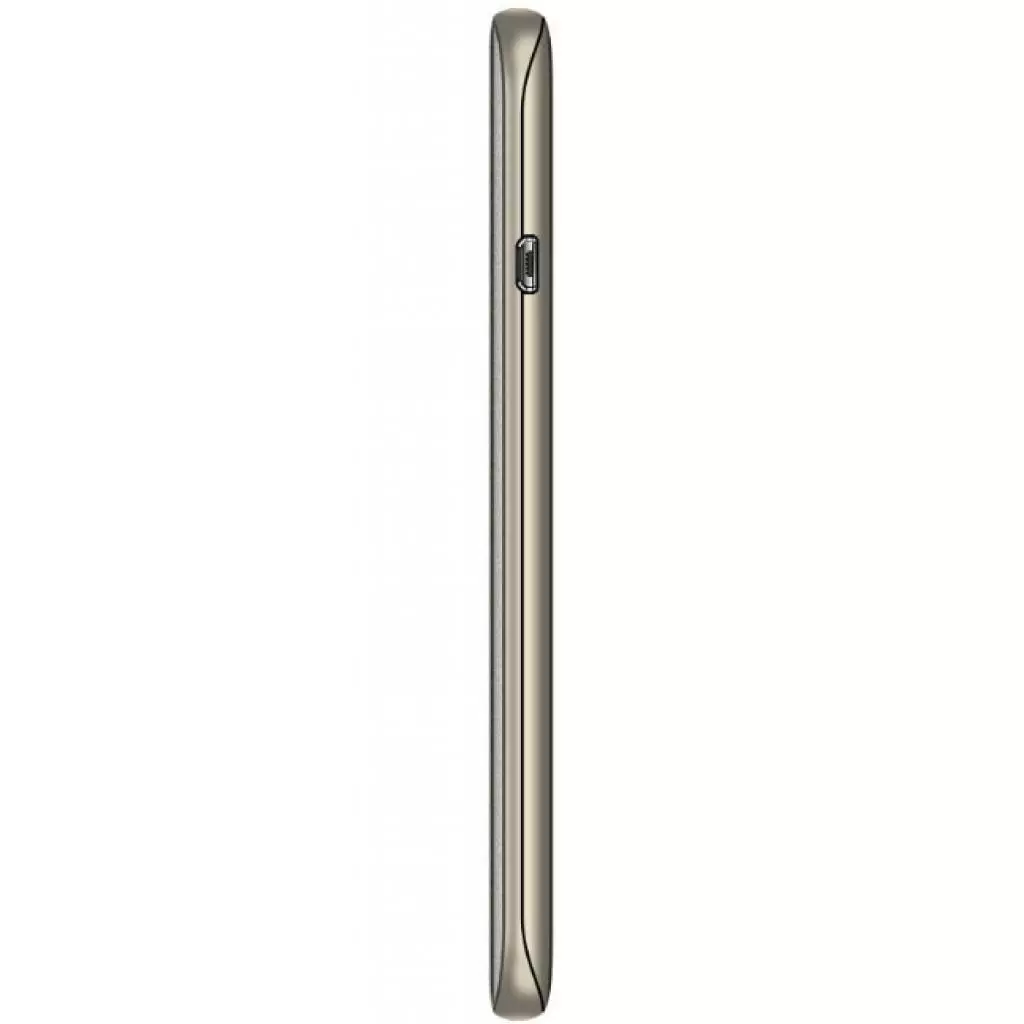 Мобильный телефон Assistant AS-204 Gold (873293012810) - 2 Мобильный телефон Assistant AS-204 Gold (873293012810) - 2