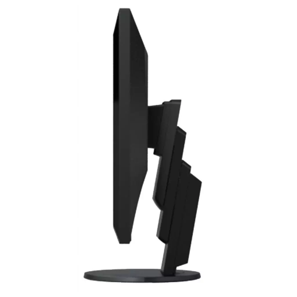 Монитор Eizo EV2456-BK - 5 Монитор Eizo EV2456-BK - 5