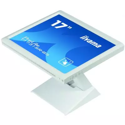Монитор iiyama T1731SR-W5 - 10 Монитор iiyama T1731SR-W5 - 10
