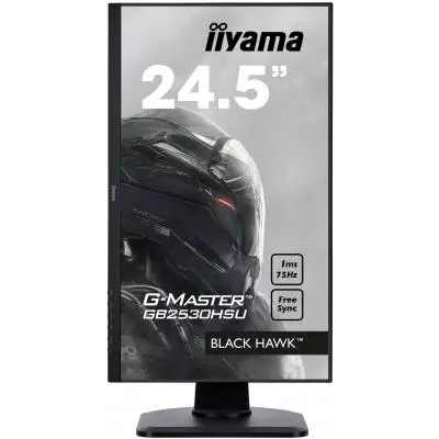 Монитор iiyama GB2530HSU-B1 - 7 Монитор iiyama GB2530HSU-B1 - 7