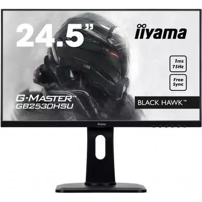 Монитор iiyama GB2530HSU-B1