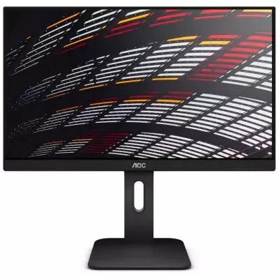 Монитор AOC X24P1/01