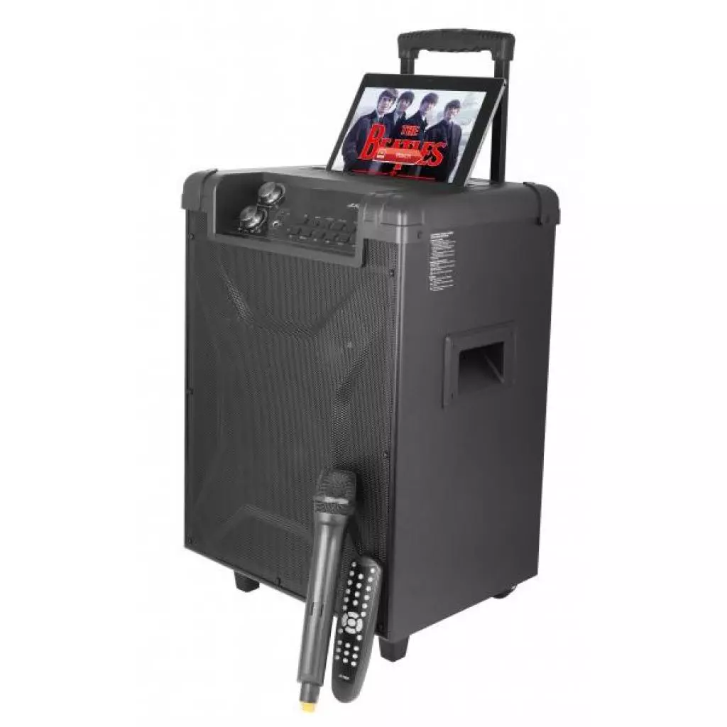 Акустическая система F&D T2 FM Black - 3