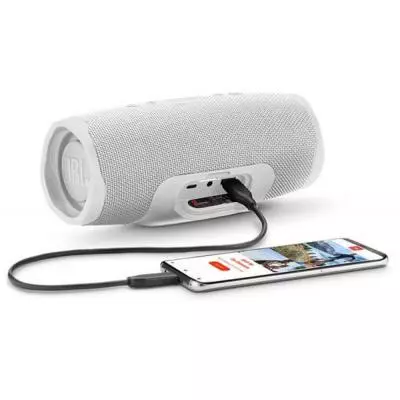 Акустическая система JBL Charge 4 Steel White (JBLCHARGE4WHT) - 5