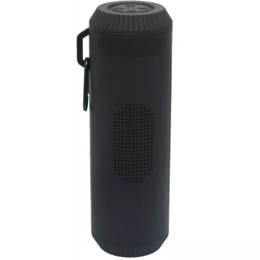 Акустическая система Greenwave PS-601WP black (R0015299) - 1 Акустическая система Greenwave PS-601WP black (R0015299) - 1