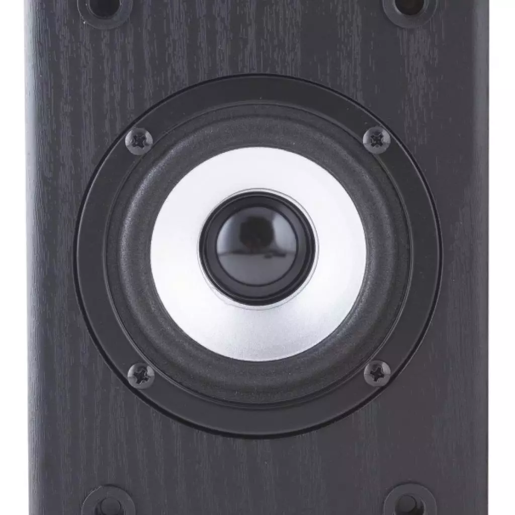 Акустическая система F&D R-219 Black - 4 Акустическая система F&D R-219 Black - 4