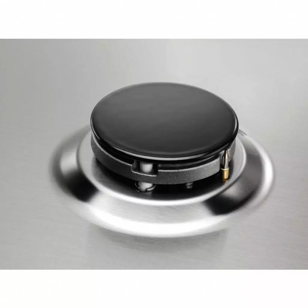 Варочная поверхность Zanussi GPZ263SS - 2 Варочная поверхность Zanussi GPZ263SS - 2