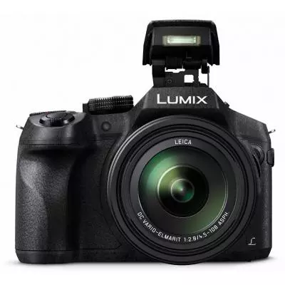 Цифровой фотоаппарат Panasonic DMC-FZ300 (DMC-FZ300EEK) - 6
