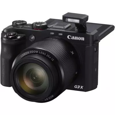Цифровой фотоаппарат Canon PowerShot G3X (0106C011AA) - 5 Цифровой фотоаппарат Canon PowerShot G3X (0106C011AA) - 5