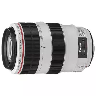 Объектив Canon EF 70-300mm f/4-5.6L IS USM (4426B005)