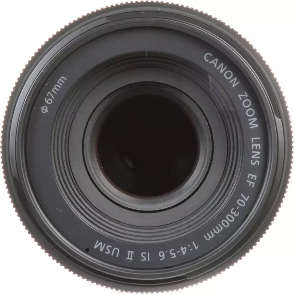 Объектив Canon EF 70-300mm f/4-5.6 IS II USM (0571C005) - 3 Объектив Canon EF 70-300mm f/4-5.6 IS II USM (0571C005) - 3