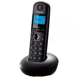 Телефон DECT Panasonic KX-TGB210UAB