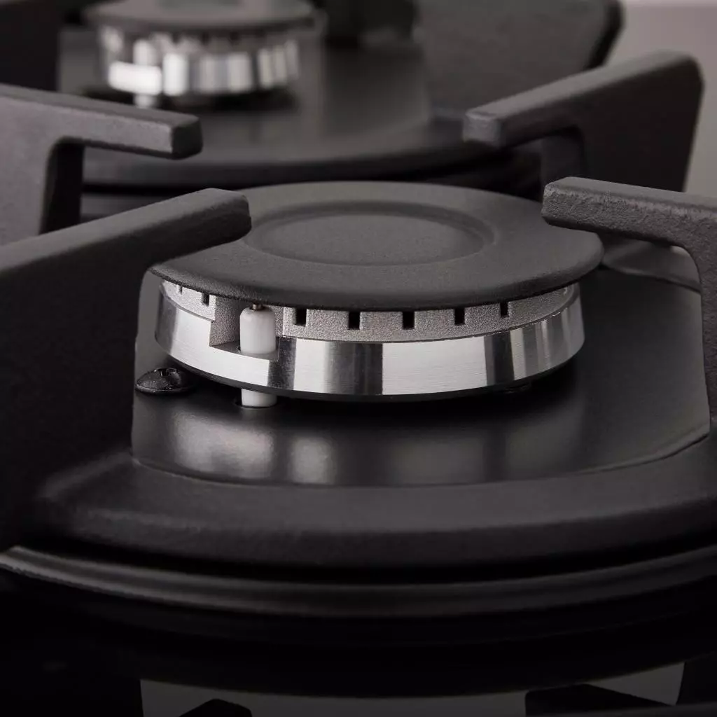 Варочная поверхность Eleyus ASTRA BL CW - 10 Варочная поверхность Eleyus ASTRA BL CW - 10