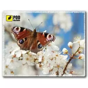 Коврик для мышки Pod Mishkou Весна-Метелик