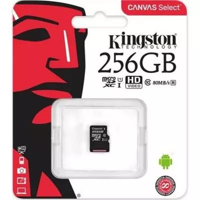 Карта памяти Kingston 256GB microSDXC class 10 UHS-I Canvas Select (SDCS/256GBSP) - 1