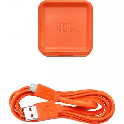 Акустическая система JBL Tuner FM Black (JBLTUNERBLKEU) - 4