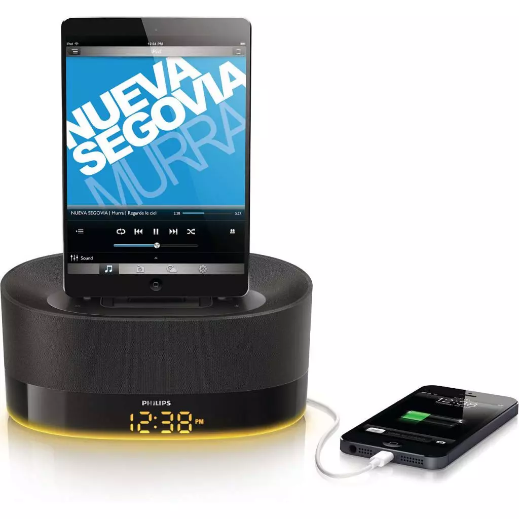 Акустическая система PHILIPS DS1600/12 - 2