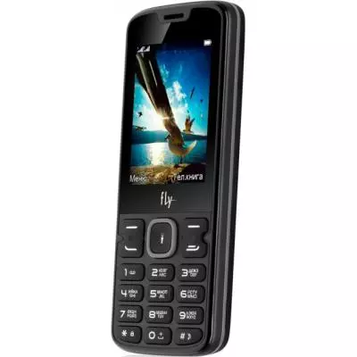 Мобильный телефон Fly FF250 Black - 1