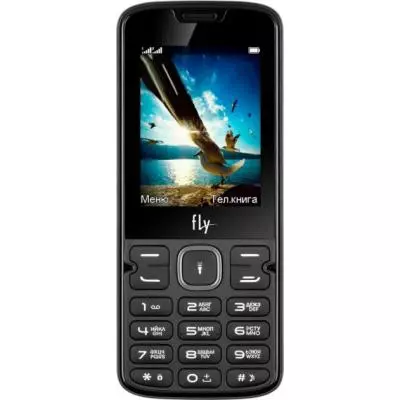 Мобильный телефон Fly FF250 Black