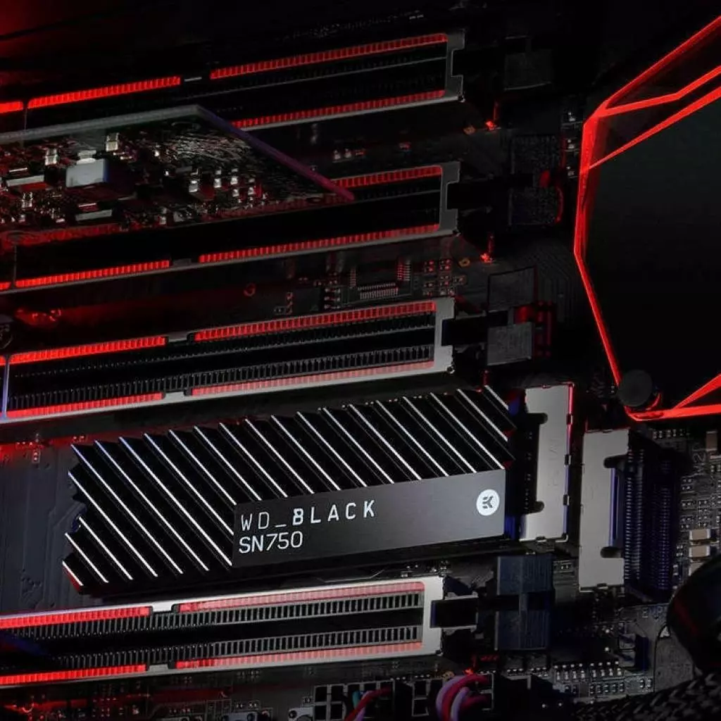 Накопитель SSD M.2 2280 1TB WD (WDS100T3XHC) - 7