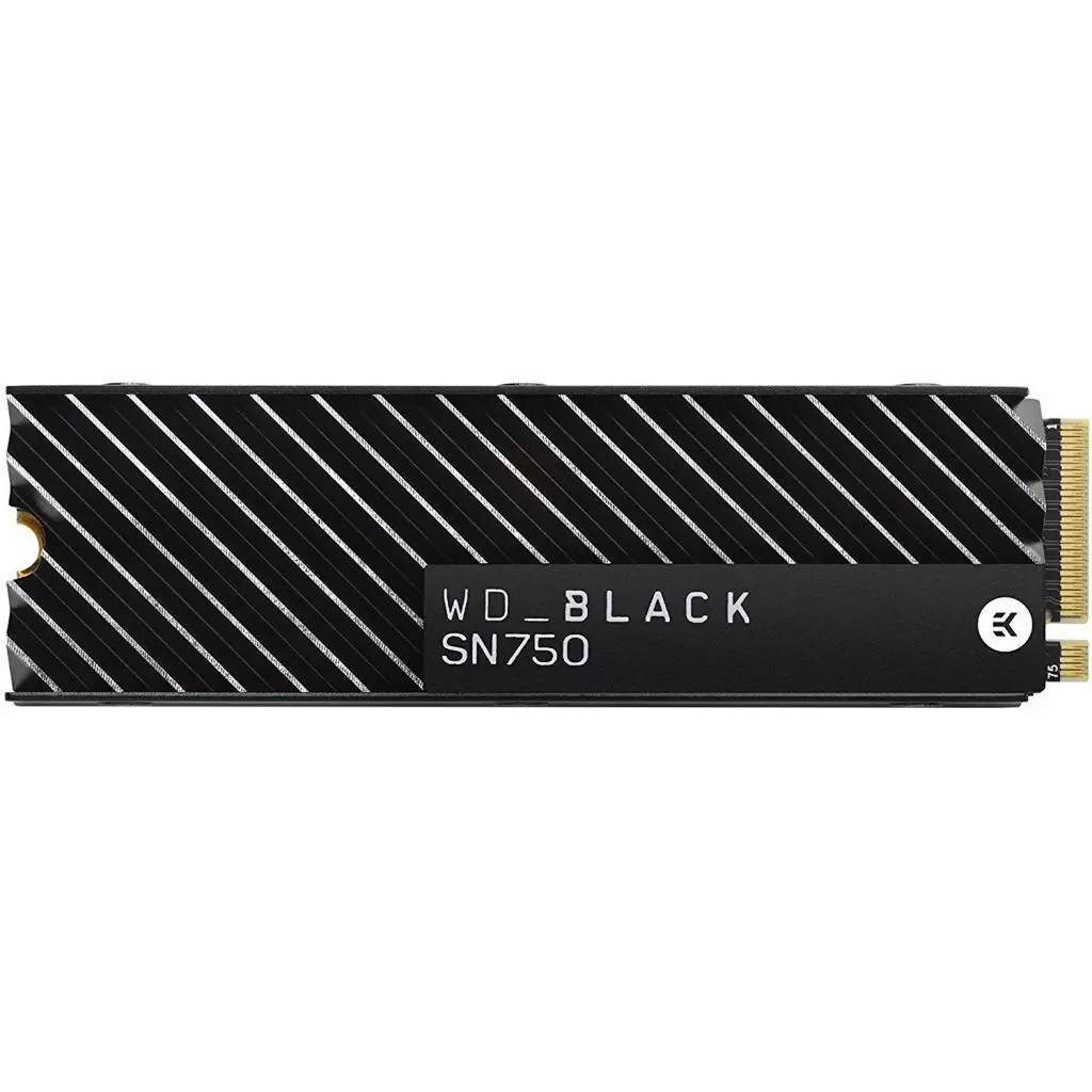 Накопитель SSD M.2 2280 1TB WD (WDS100T3XHC)