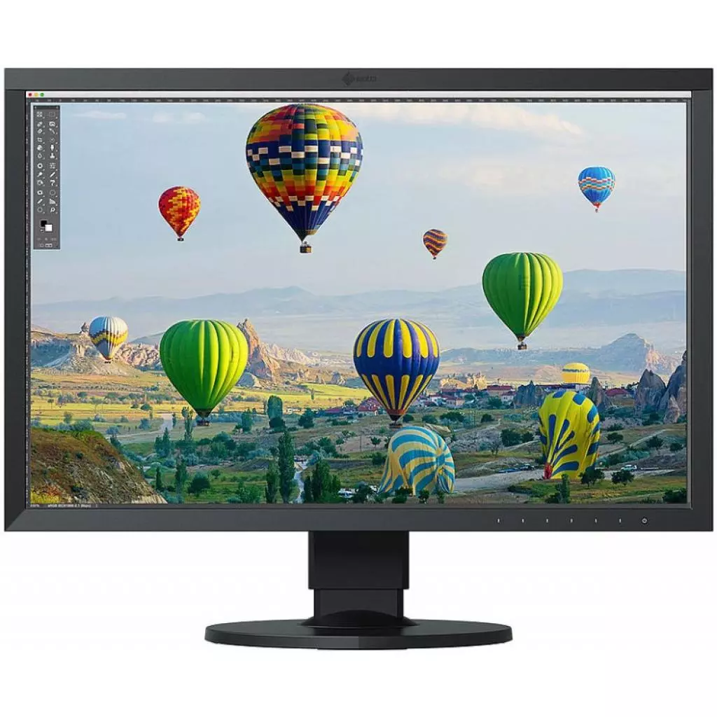 Монитор Eizo CS2410-BK