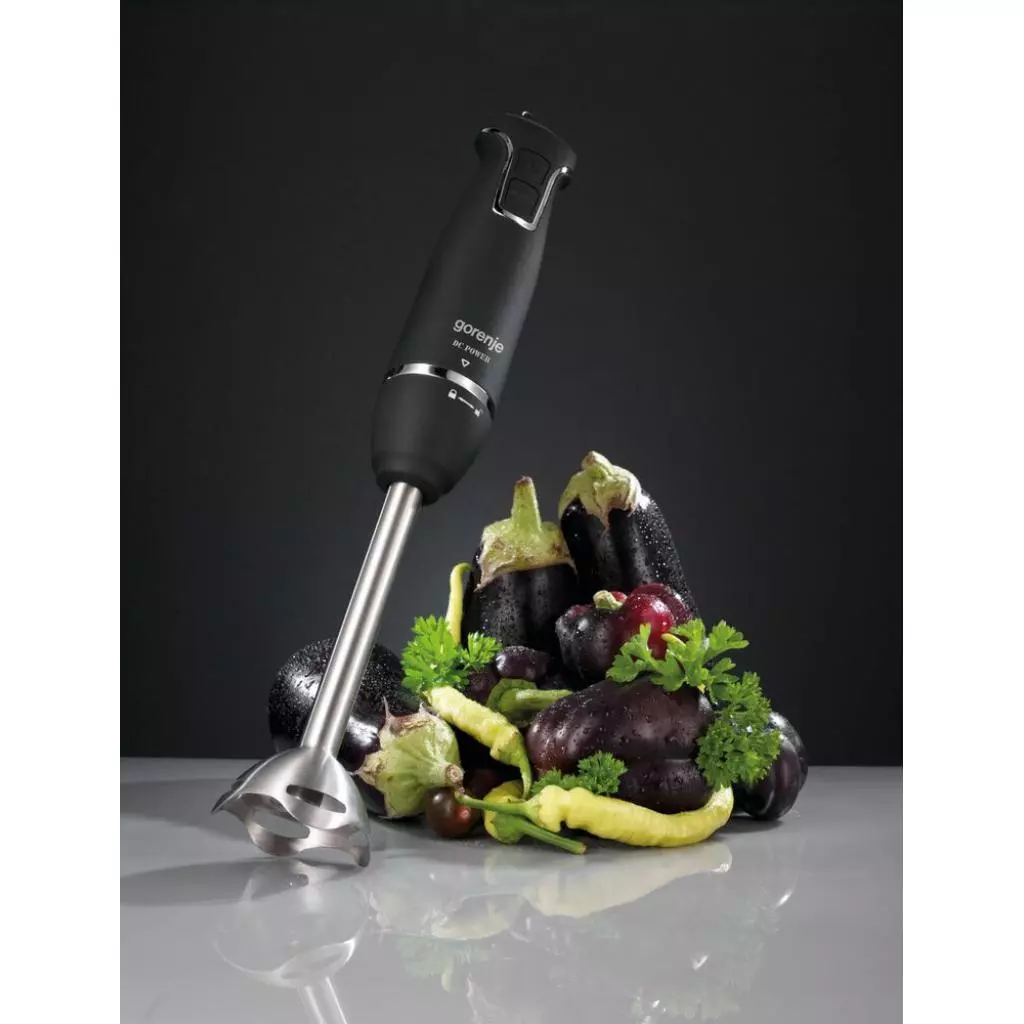 Блендер Gorenje HBX 604 QB (HBX604QB) - 3 Блендер Gorenje HBX 604 QB (HBX604QB) - 3