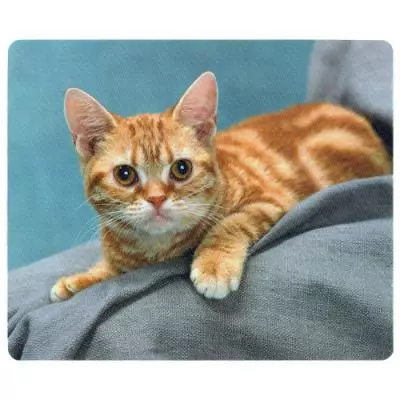 Коврик для мышки Defender Silk (50706) - 1 Коврик для мышки Defender Silk (50706) - 1