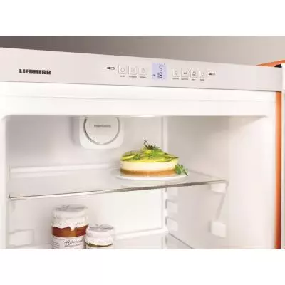 Холодильник Liebherr CNno 4313 - 8